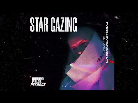 Pando G & Camouflaged Cats - Star Gazing  (Original Mix) |  DELECTABLE DARK BEATS 🖤🥀🖤 #DarkGroove
