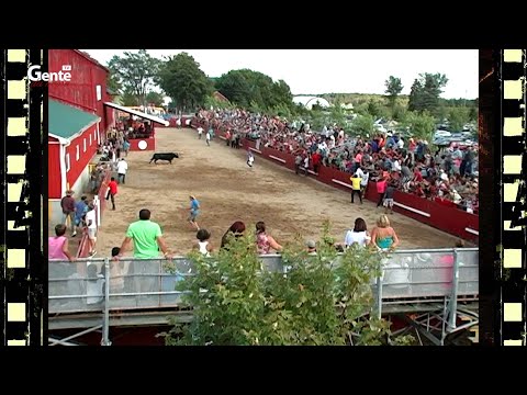 Clips da Festa Brava de Gente da Nossa (2015) - Aug.08-20 - #4