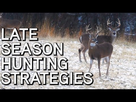 Late Season Hunting Strategies