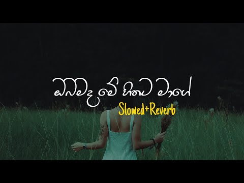 Obamada Me - ඔබමද මේ (Slowed+Reverb)
