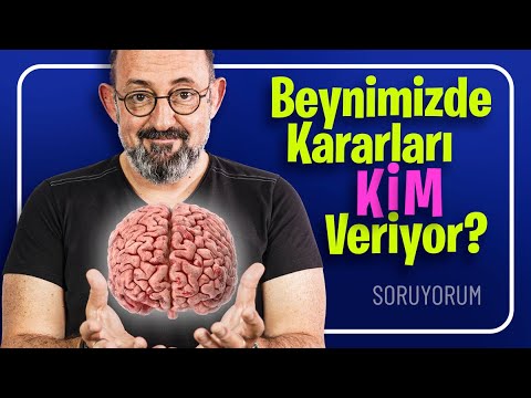 Beynimizde Kararları Kim Veriyor? I SoruYorum