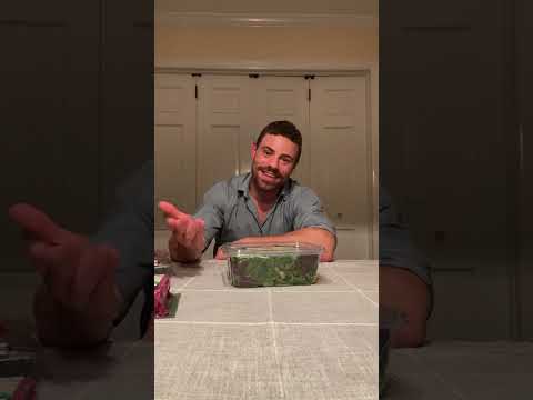 What's In My Grocery Bag And Why