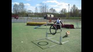 preview picture of video 'Hirmu agility B-kisa'