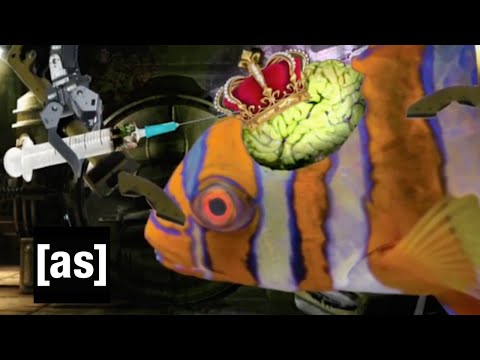 FishCenter Recap 1/4/16 | FishCenter | Adult Swim