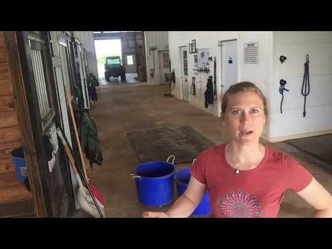 YouTube video about: How to keep flies away from horse stalls?