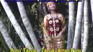 Download lagu lagu dayak krio tagua,from mateus bujal kure village kalimantan barat mp3