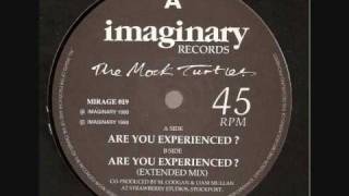 the mock turtles - are you experienced
