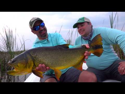Iberá Wetlands at La Alondra Lodge
