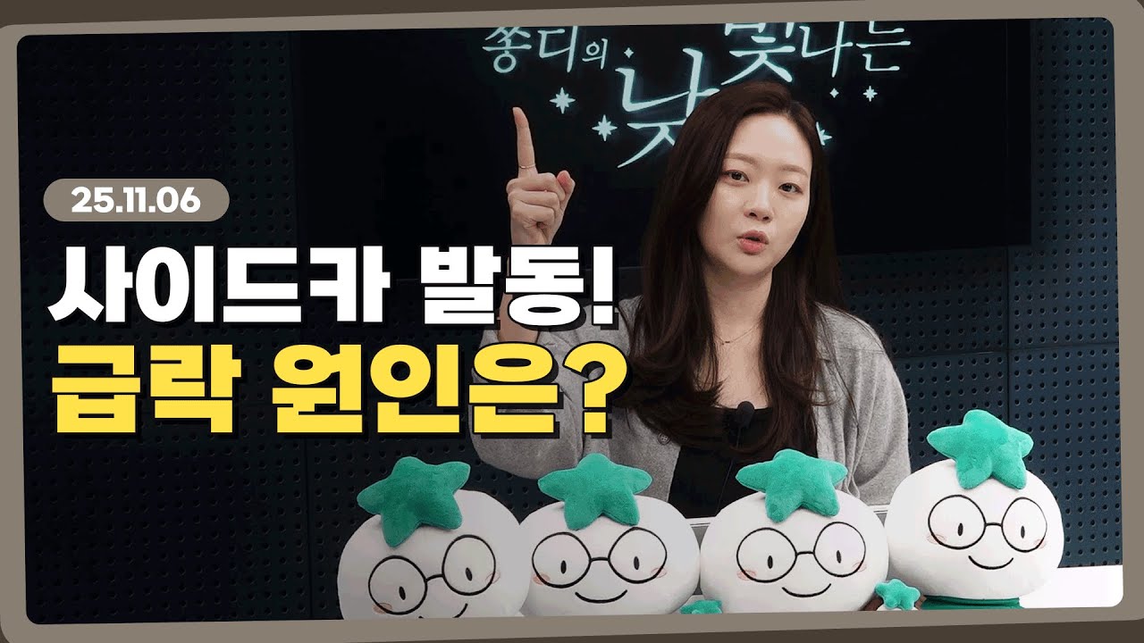 긴급진단! 코스피 사이드카 이후, 회복까지는? l 251106 l 쏭디의 돈이 빛나는 낮에