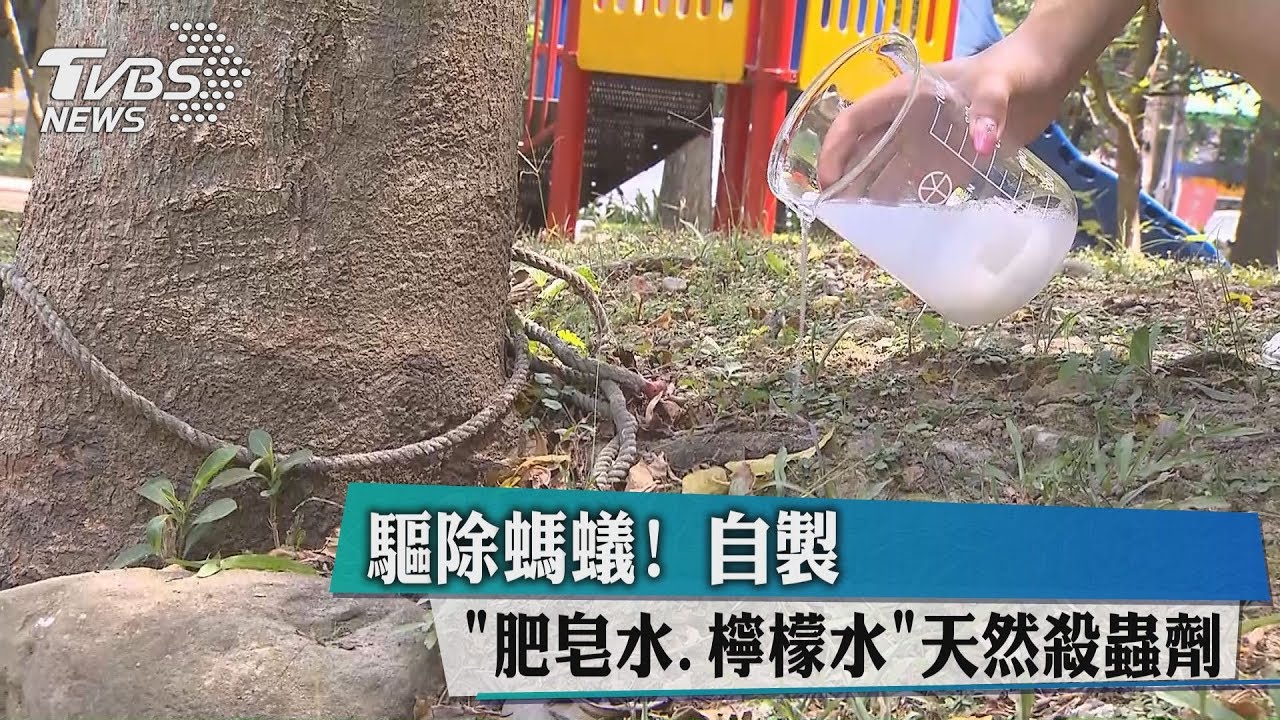 驅除螞蟻! 自製「肥皂水、檸檬水」天然殺蟲劑