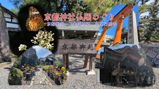 【京都神社仏閣めぐり】京都御苑、下御霊神社、革堂行願寺へ行ってきました。#癒し #風景 #京都 #神社仏閣 #japantravel