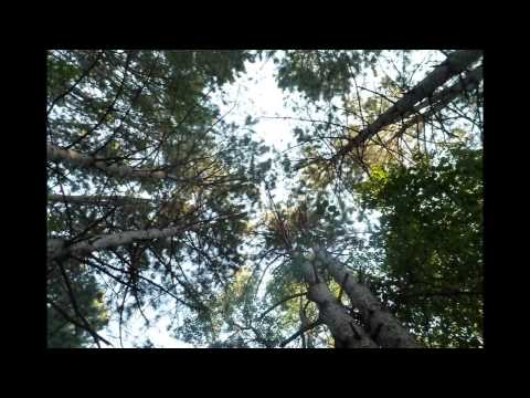 Annie's Song and You'll be in my Heart