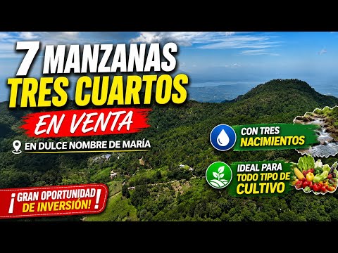 Preciosa Parcela de 7 manzanas 3/4 en venta Dulce Nombre de María, Con 3 nacimientos!!!