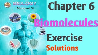 Chapter 6 Biomolecules  Class 11 Biology Exercise Solutions Maharashtra Board#class11 #biology