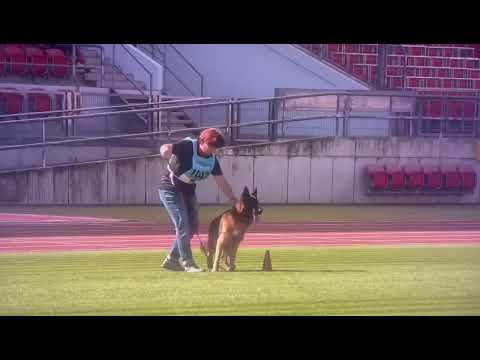 TBS BSZ 2023 Eros team Tierras Charras