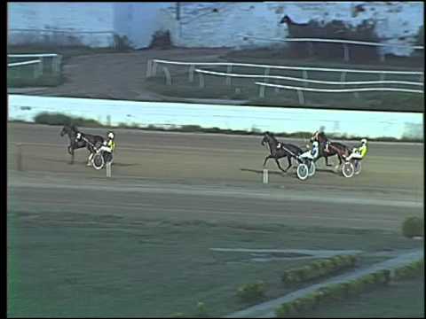 Trotto 03/09/2015 - 2° prova di riqualifica