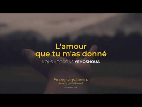 L'amour que tu m'as donné
