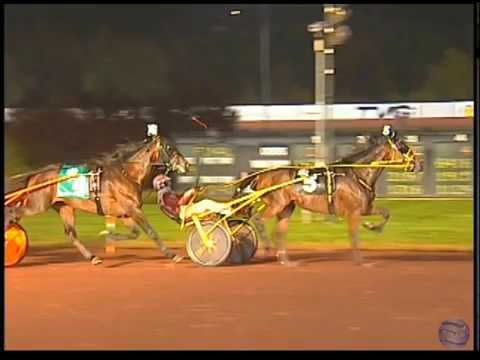 Homicide Hunter & George Napolitano Jr wins Breeders Crown Open Trot in 1.52,3 at Pocono Downs