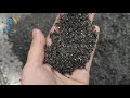 BS150 3 Nuts Grinding Sesame Powder Roller Crushing Machine