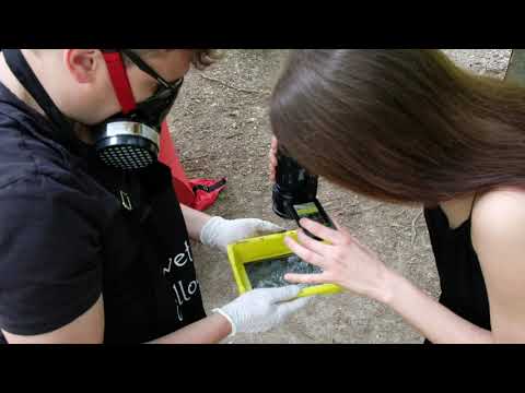 Fixing a collodion wet plate