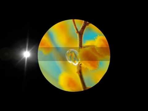 Omar Faruk Tekbilek - Hasret