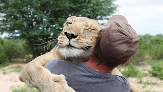 Animals vs Humans: Love is Hugs | Amazing Moments Caught On Camera