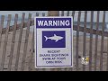 Cape Cod Beach Remains Closed After Shark Attack