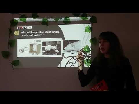 BRAIN ADDICTION | İlayda ÖZHAVZALI | KIRIKKALE FEN LİSESİ