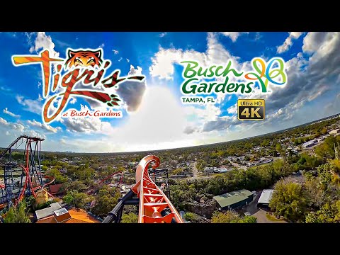 Tigris Roller Coaster Front Seat On Ride 4K POV Busch Gardens Tampa 2025 03 04