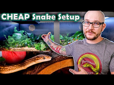 CHEAP and EASY PVC Enclosure Setup For Any Snake Or Lizard! | My Rainbow Boa's New Home