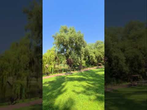 Zona de Agrement Tătărași Suceava