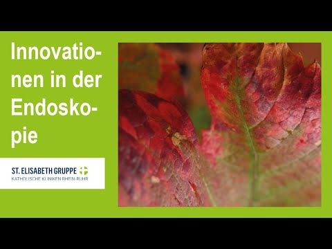 Endosummer 2022 – Innovationen in der Endoskopie – wenn eine Idee Wirklichkeit wird