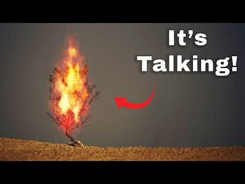 Can A Burning Bush Talk In Real Life?