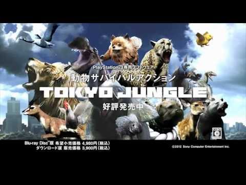 Japan’s Wonderful Animal Fighting Game Is Still Coming To The West