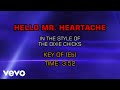 Dixie Chicks - Hello Mr. Heartache (Karaoke)