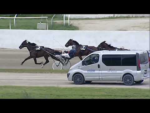 Napoli Trotto 30/04/2023 - 8ª corsa