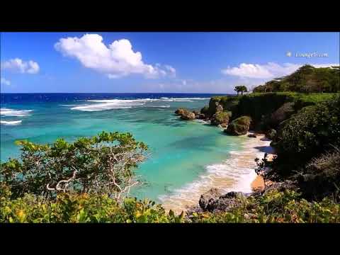 MAÑANA IRÉ TEMPRANO   RAÚL IRIARTE