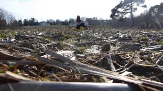 Clip vidéo - PÉGASE - The Bad Side Of Love - ANEM.