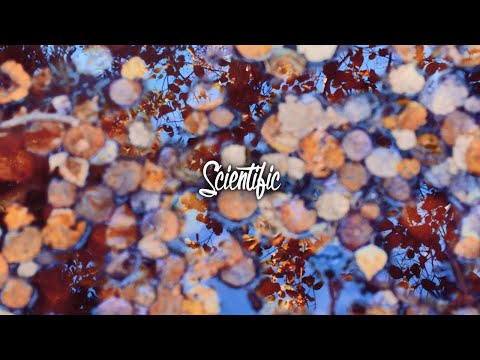 "On Top Now" GoldLink X Rejjie Snow Type Beat 2018 By Scientific