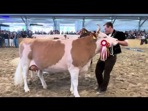 Miss BEA Eliteschau 2024