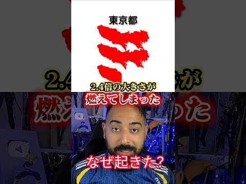 ​【衝撃】東京2.4個分が灰に…モンゴルで起こしたヤバすぎる大火災の真相とは？ ​#世界情勢 #ニュース #モンゴル