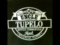 Uncle Tupelo - December 2 1992 - Munich Germany (audio)