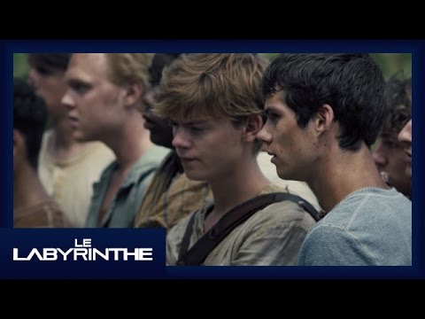 Le Labyrinthe - Extrait Un choix décisif [Officiel] VF HD