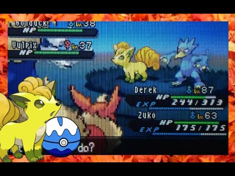 Shiny Vulpix after ??? RE's - Black 2