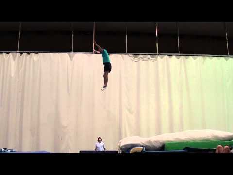 Bruno Rodrigues - Triffis Back