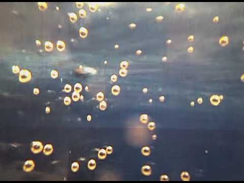 Otpisani Klan - Himna slobodi