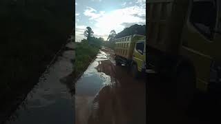 Download lagu Truk sawit jalan santai mp3