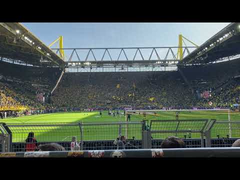 Am Borsigplatz geboren - Andy Schade vom 08.03.2025 (Borussia Dortmund vs. FC Augsburg)
