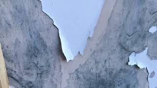 Long Beach 进展；空房进了流浪汉怎么解决；美国流浪汉要钱为了换女朋友