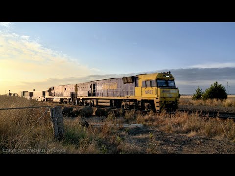 2PM5 Pacific National Container Freight Train (24/2/2022) - PoathTV Australian Railways